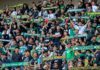 Lebih dari Sekadar Sepak Bola: Persebaya, Bonek, dan Identitas Masyarakat Surabaya dalam Perspektif Al-Qur’an